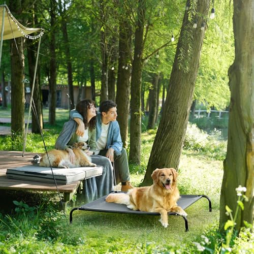 Elevated Dog Cot Bed with Washable Mesh K20130