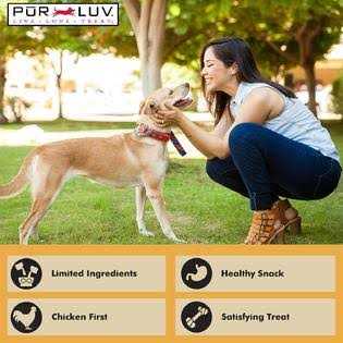 Real Chicken Jerky Dog Treats U963194