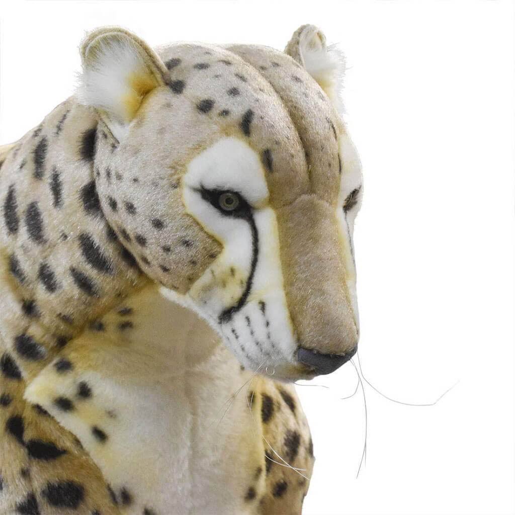 Cheetah Life Size Stand 50 in. W649855