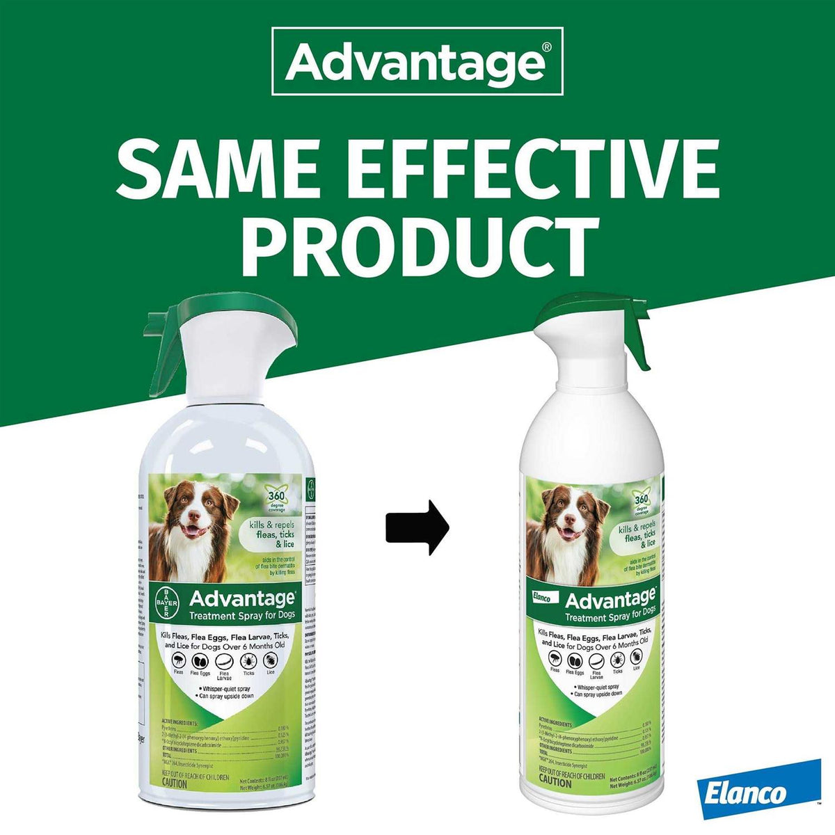 Flea & Tick Treatment Spray for Dogs N352361