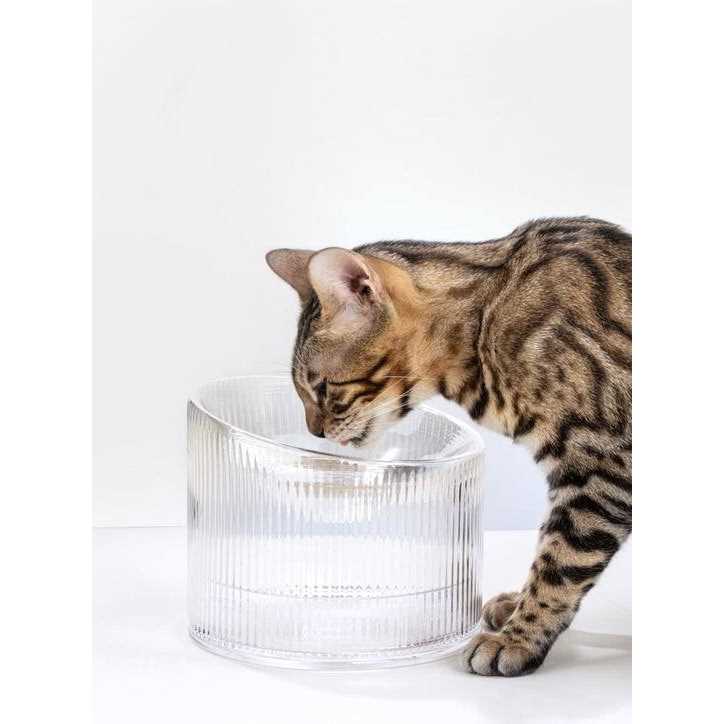 Handmade Glass Cat Bowl B26149