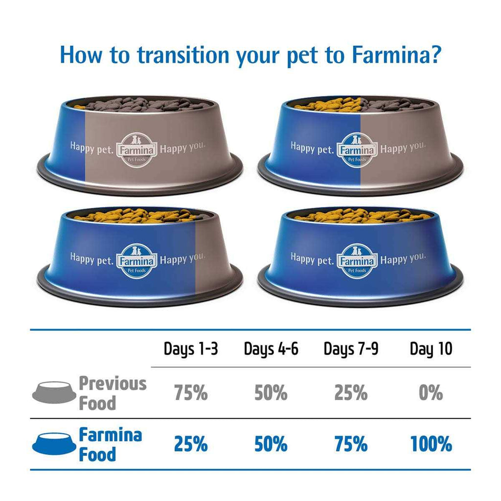 Herring & Orange Adult Dry Cat Food W2427