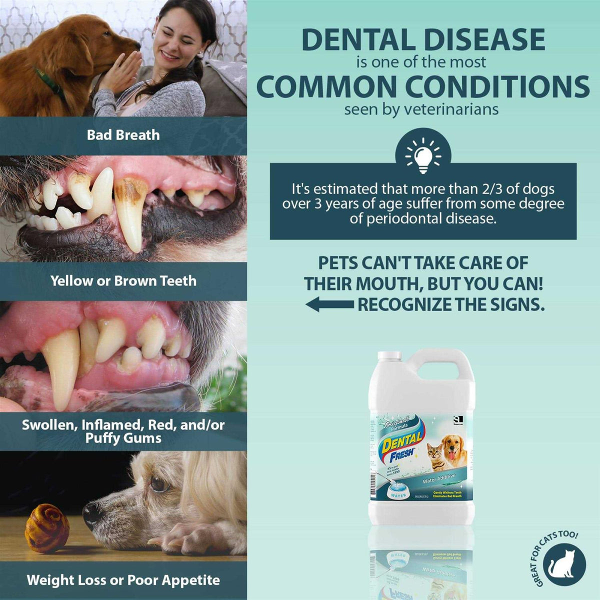 1 Gallon Dental Fresh Z48315
