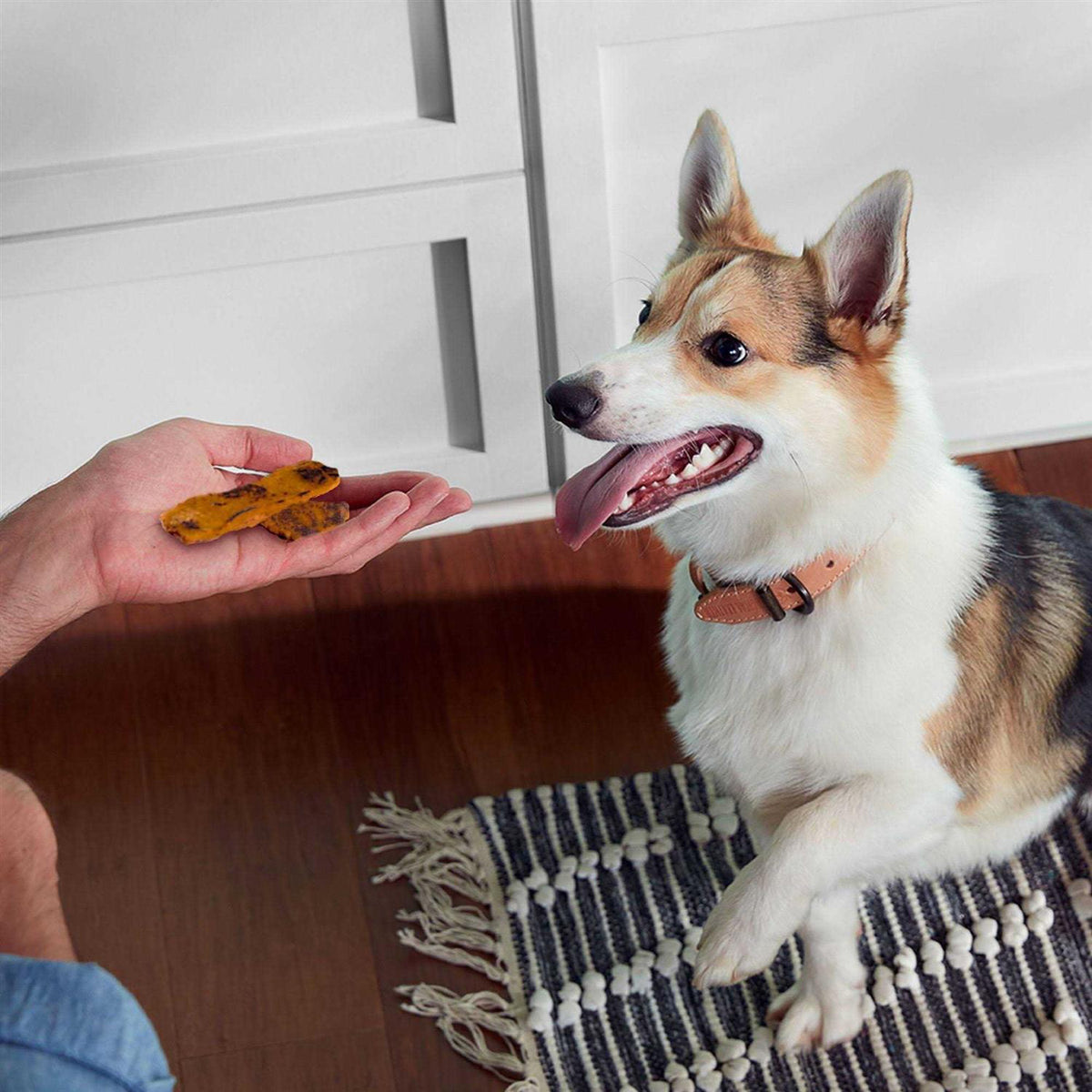 Turkey Recipe Dog Treats H118709