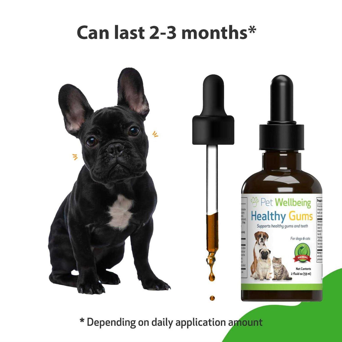 Healthy Gums for Feline Periodontal Health N84699