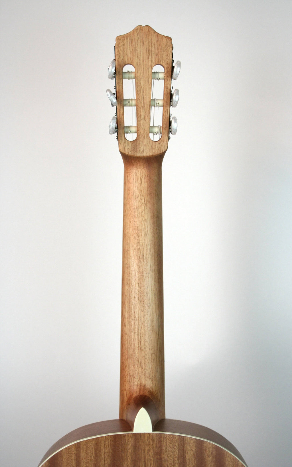 Coral Classical Guitar D58711