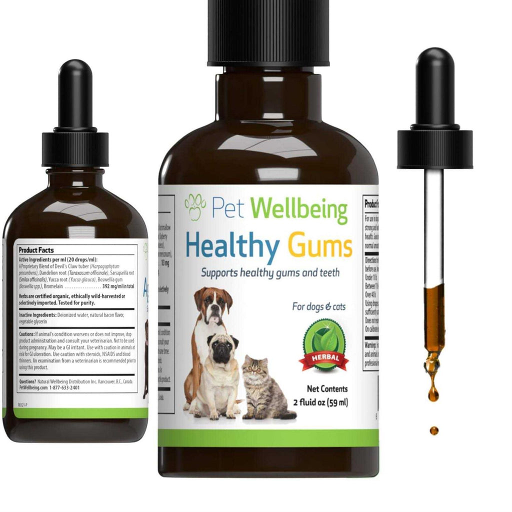 Healthy Gums for Feline Periodontal Health N84699