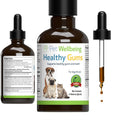 Healthy Gums for Feline Periodontal Health N84699