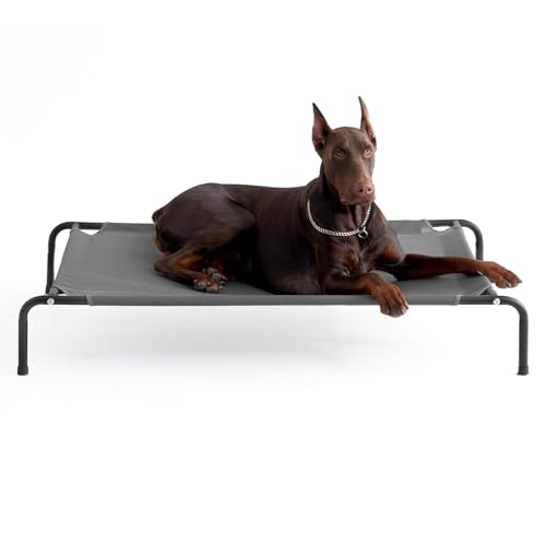 Elevated Dog Cot Bed with Washable Mesh K20130