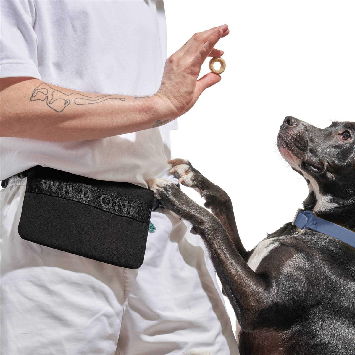 Cotton Dog Treat Pouch A823259
