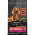 Oat Meal Formula Dry Dog Food Q93430