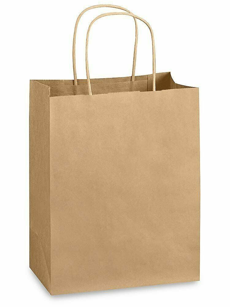250 Brown Kraft Paper Shopping Bags 8 x 4.75 x 10.5 N167203