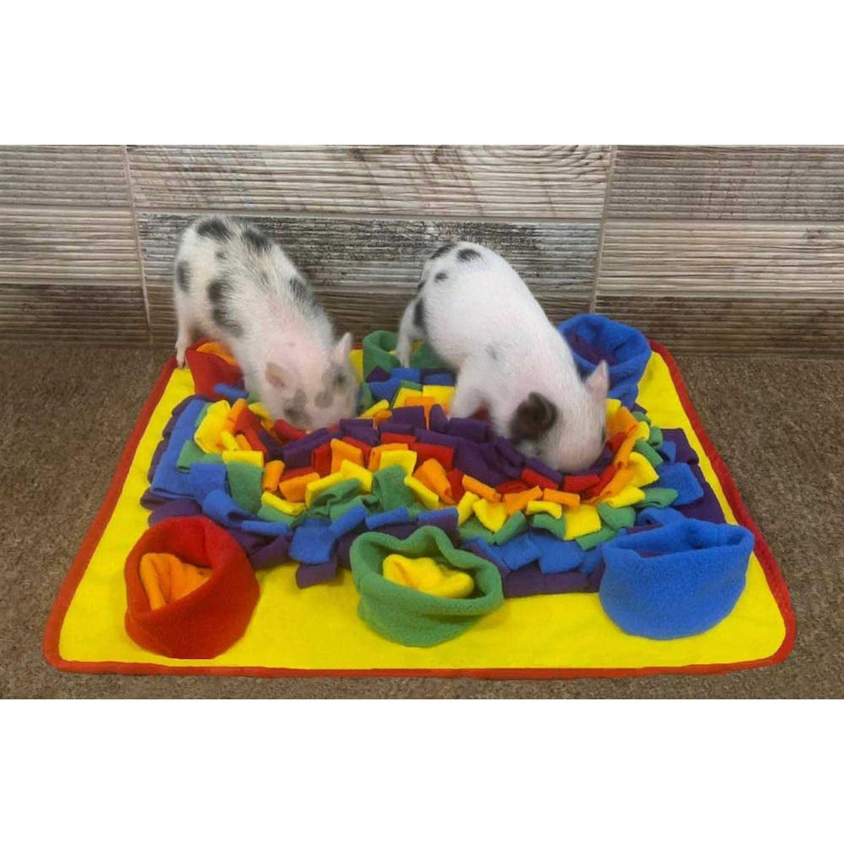Rainbow Pet Snuffle Mat B94194