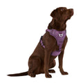 Neoprene Dog Harness W5184