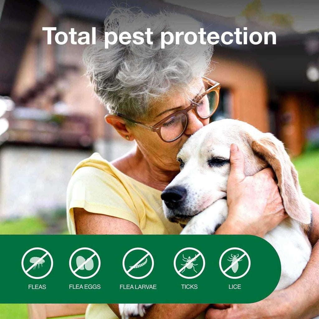 Flea & Tick Treatment Spray for Dogs N352361