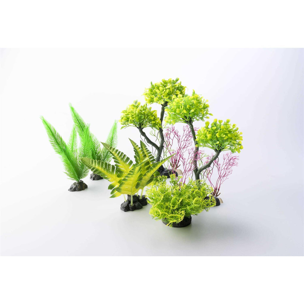 Aquarium Plant M485