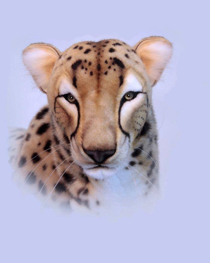 Cheetah Life Size Stand 50 in. W649855