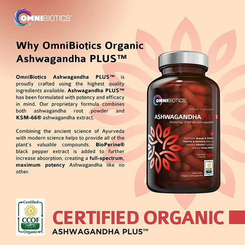 1300 mg KSM-66 Ashwagandha Supplement, 120 Vegan Capsules I831