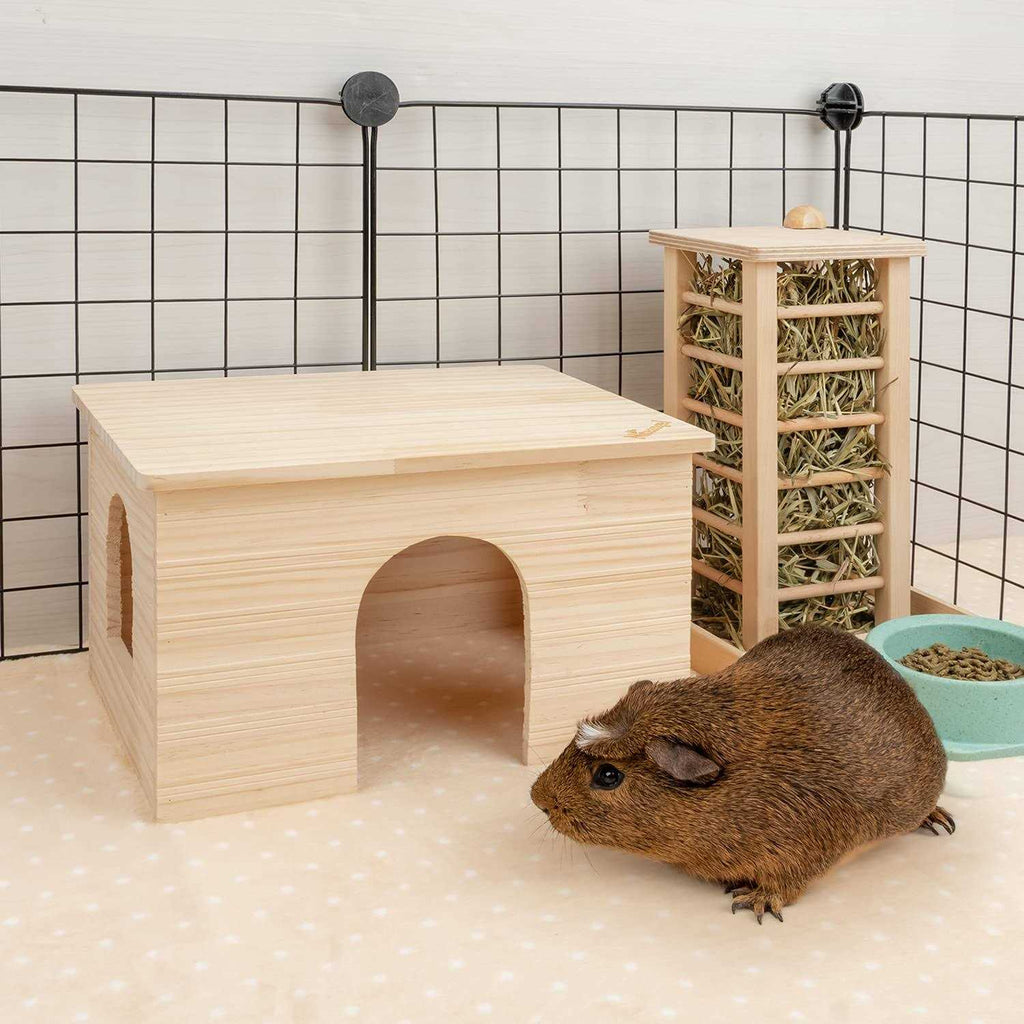 Wood House with Window P4498