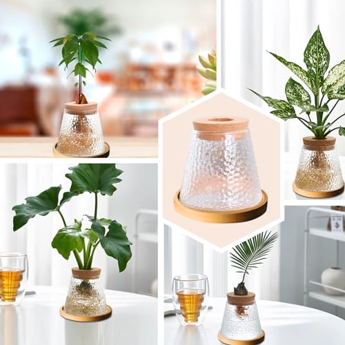 2 Pcs Separated Desktop Plant Terrarium with Wood Lid, Glass Plants Propagation Station A3279
