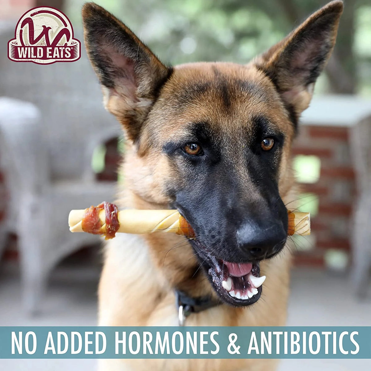 Water Buffalo Jerky Dog Chews 10 Pack Y411395
