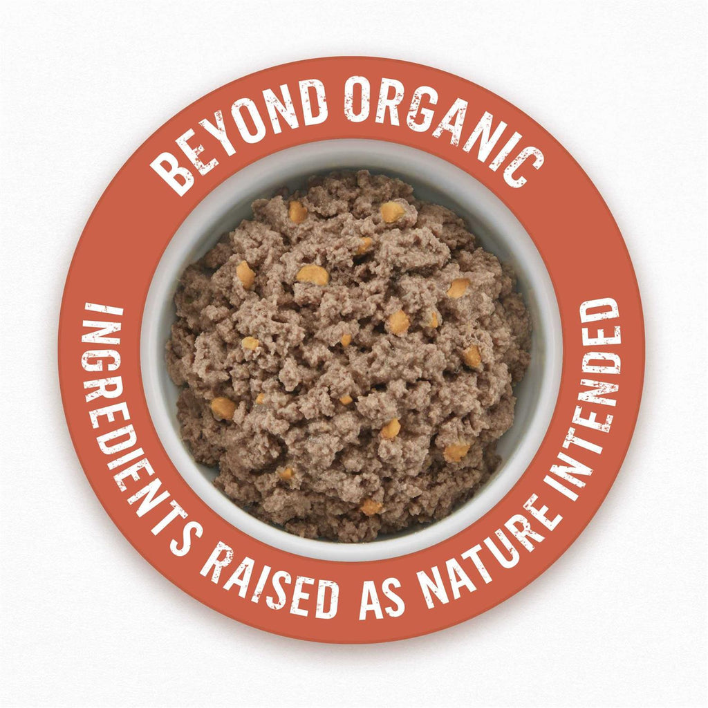 Organic Chicken Recipe Wet Dog Food X796726