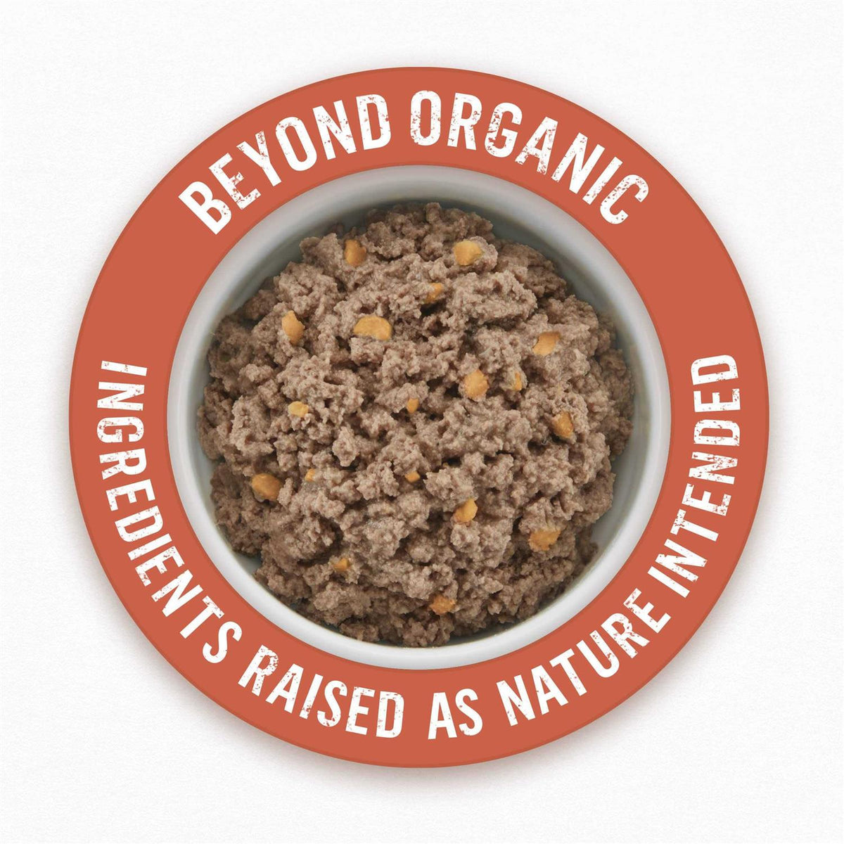 Organic Chicken Recipe Wet Dog Food X796726