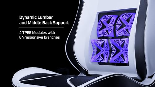 Black/White Ergonomic Gaming Chair Q358631