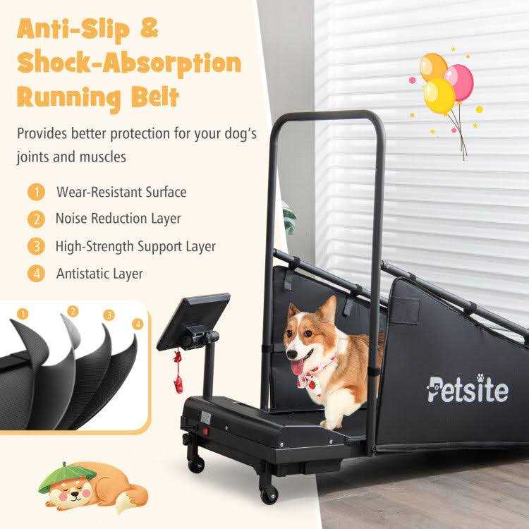 Indoor Pet Exercise Equipment with Remote Control J67633