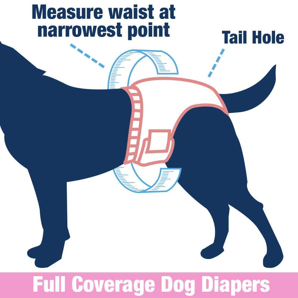Female Dog Disposable Diapers A58273
