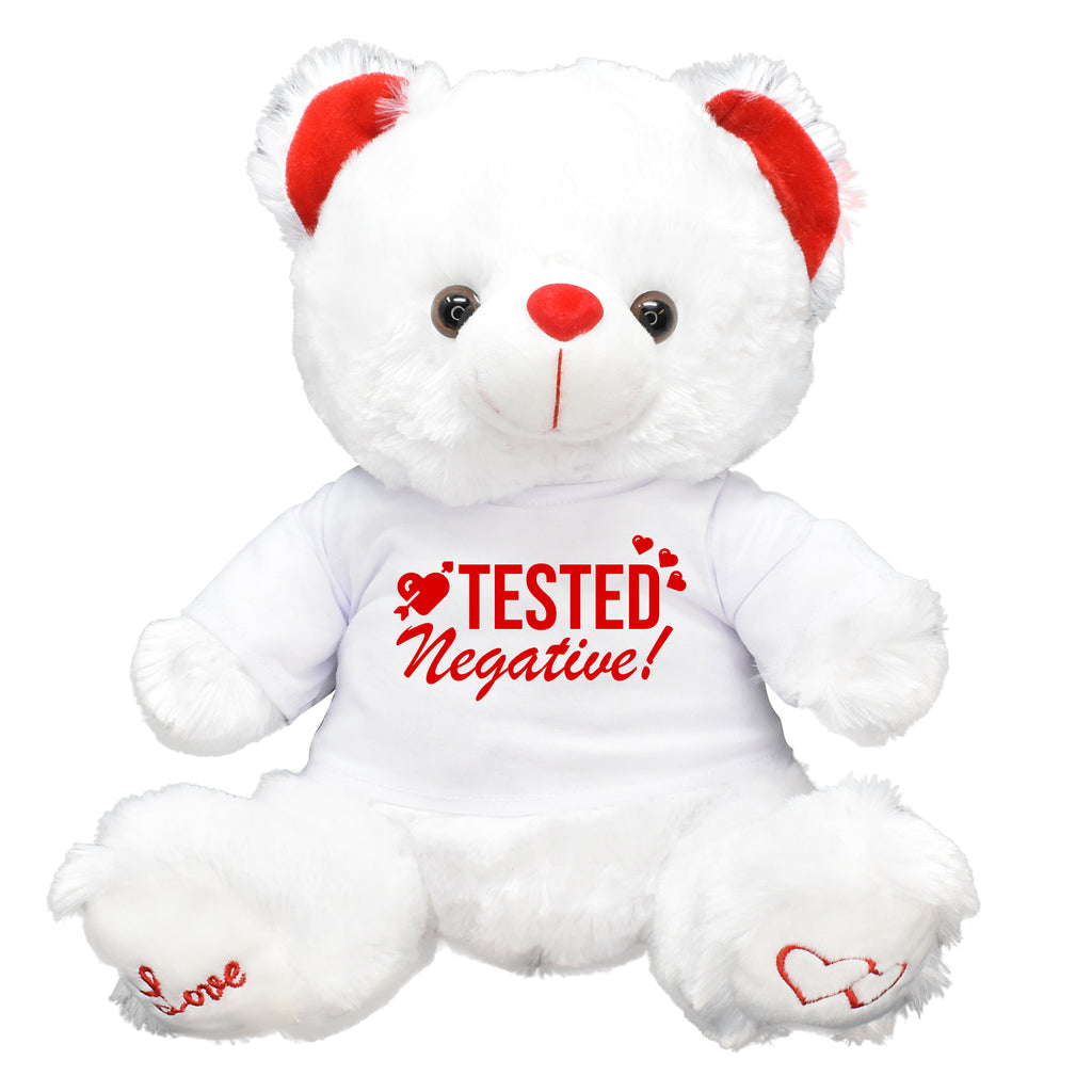 Teddy Bear Chocolates Gift Bag Plush T859