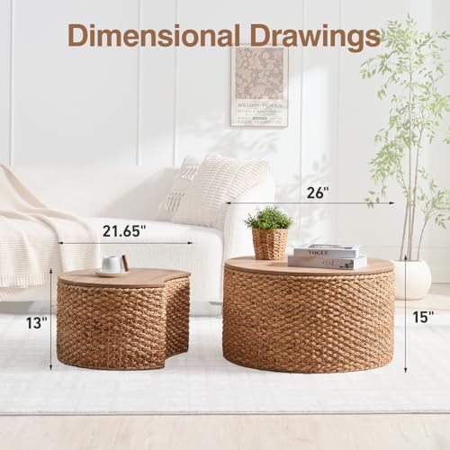 Set of 2 Wicker Rattan Coffee Table with Storage N890