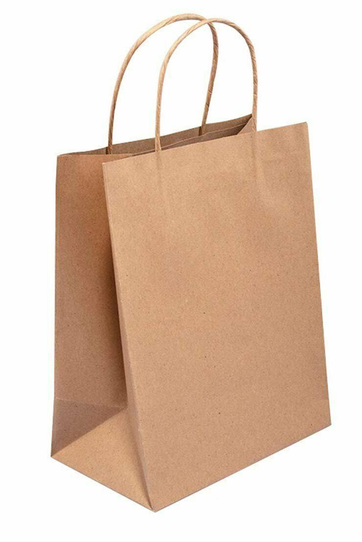 250 Brown Kraft Paper Shopping Bags 8 x 4.75 x 10.5 N167203