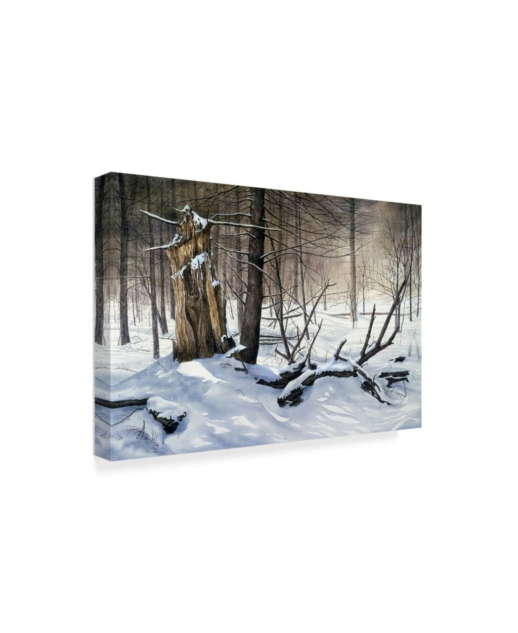 Canvas Art A36637