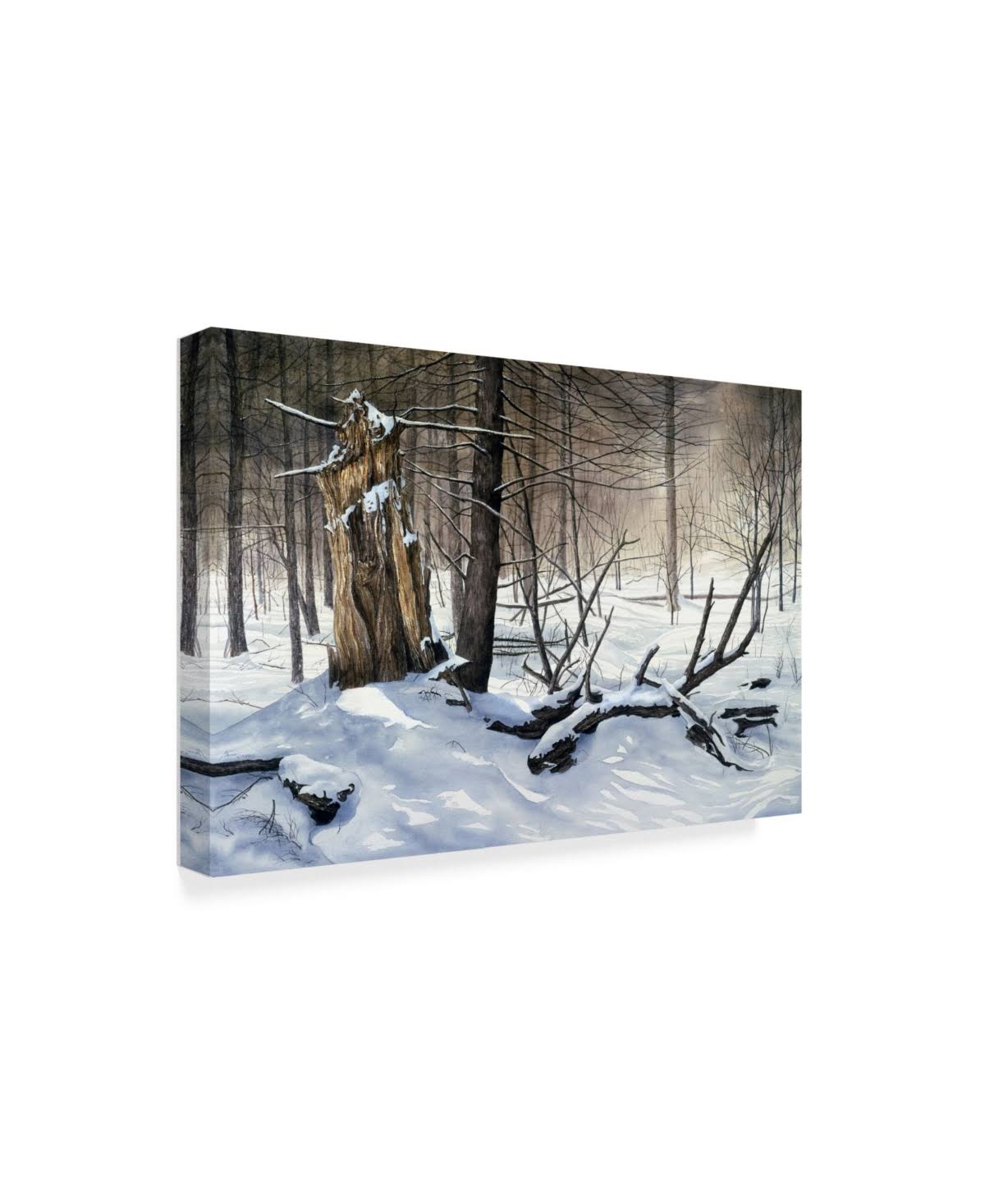 Canvas Art A36637