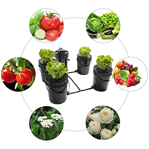 5 Gallon Deep Water Culture Hydroponic System S9269