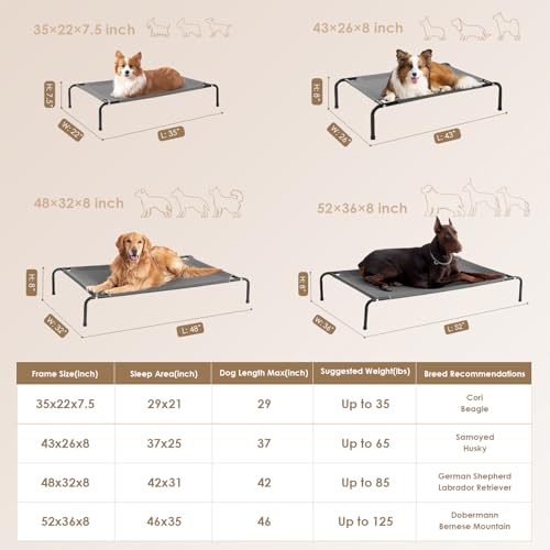 Elevated Dog Cot Bed with Washable Mesh K20130