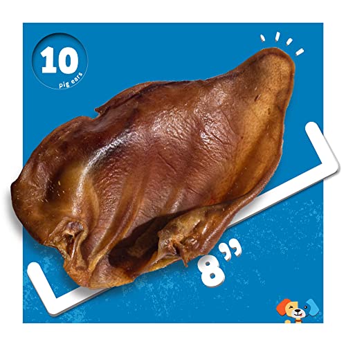 30 Pack Extra Thick Pig Ears Dog Treats J709