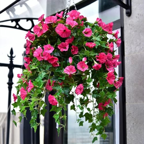 24 Bunches Artificial Morning Glories D7884