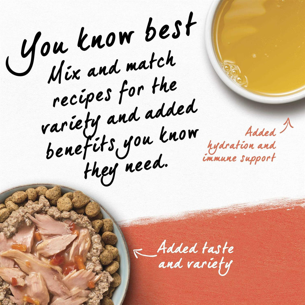 Organic Chicken Recipe Wet Dog Food X796726