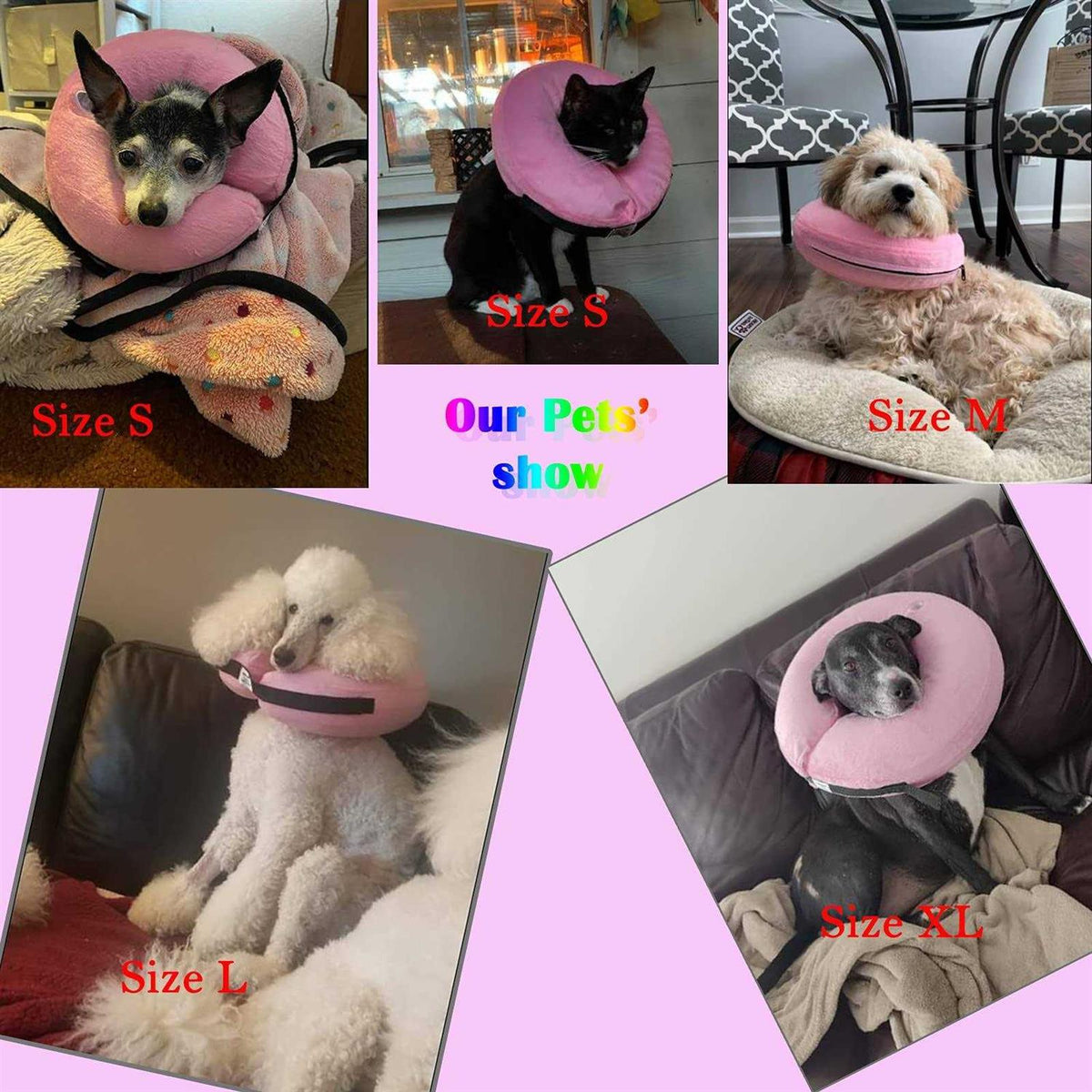 Inflatable Dog Collar X5031