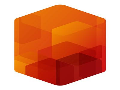 Sound Forge Pro - box pack - DVD - Win - English Y552707