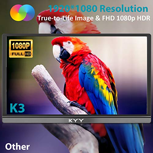 15.6inch 1080P FHD USB-C HDMI HDR IPS Portable Gaming Monitor T493333