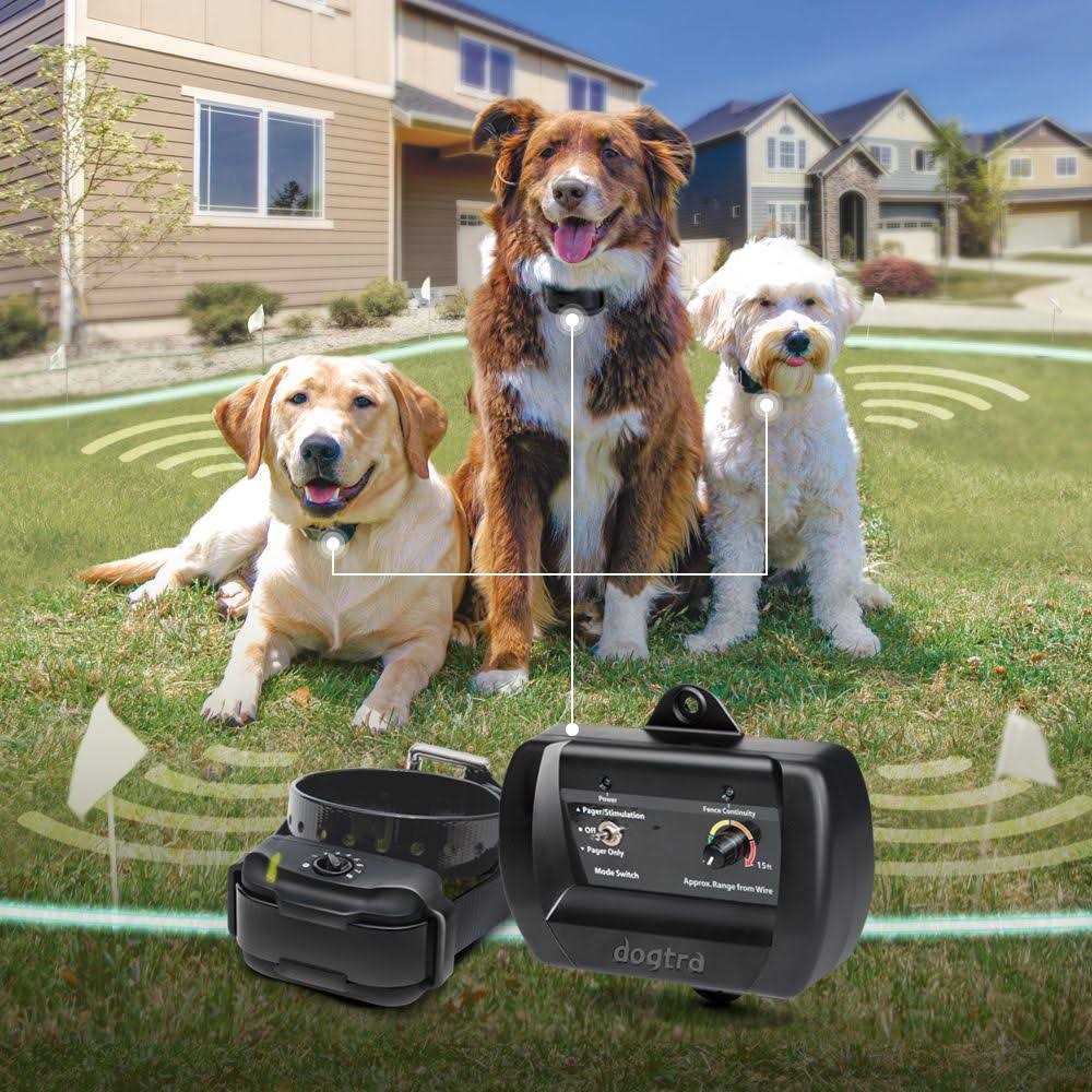 Dogtra E Fence 3500 O189