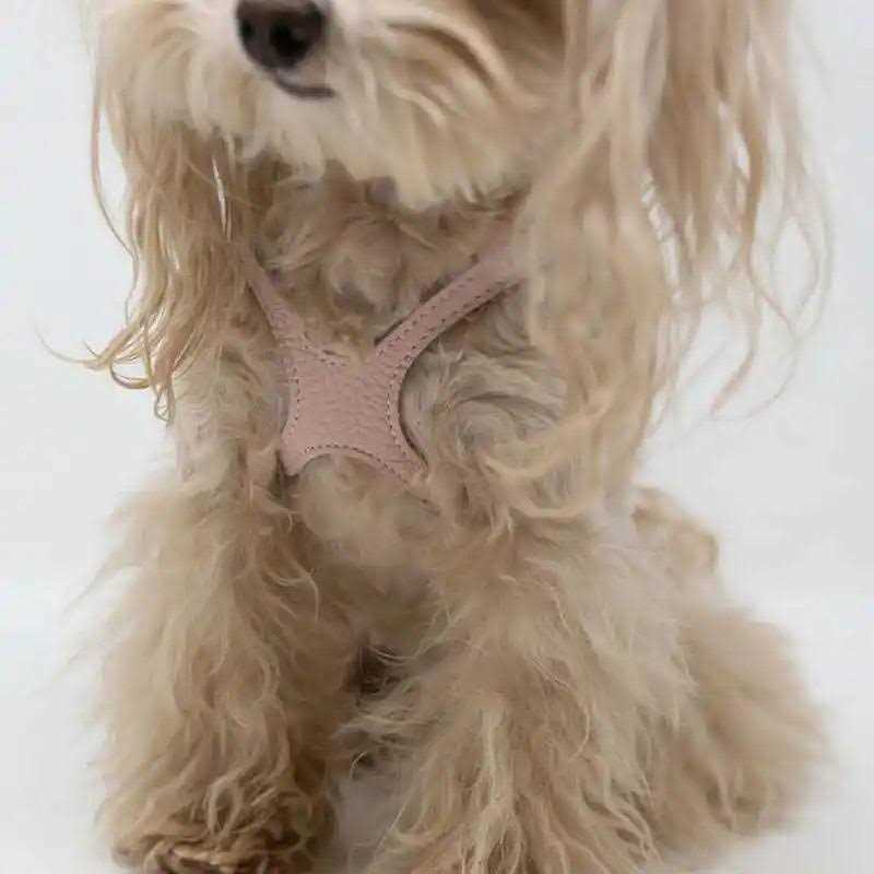 Pebble Grain Harness V990146