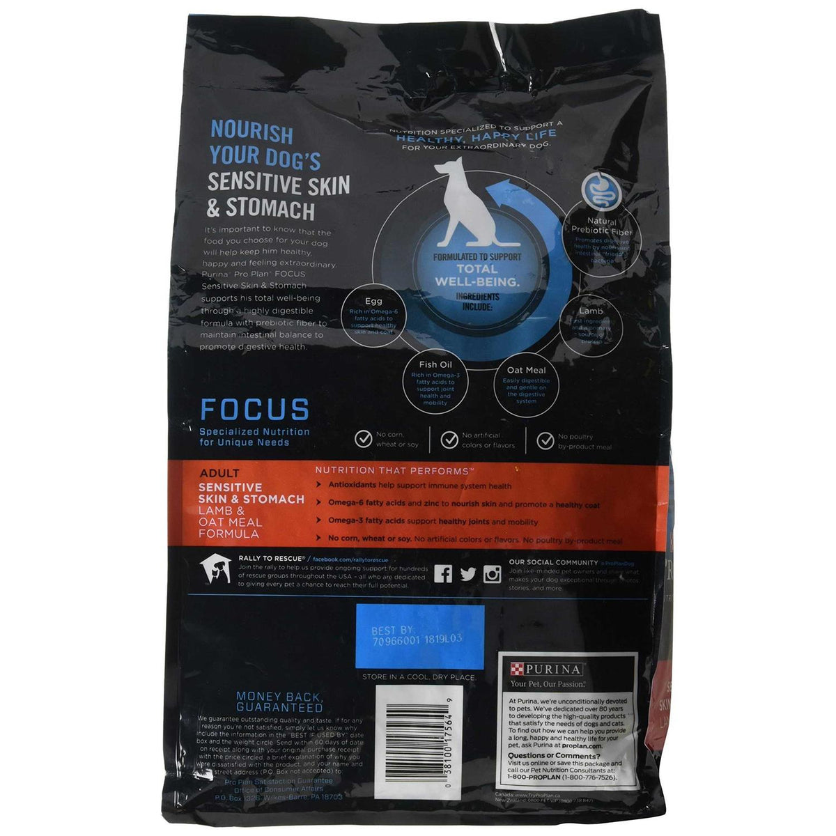 Oat Meal Formula Dry Dog Food Q93430