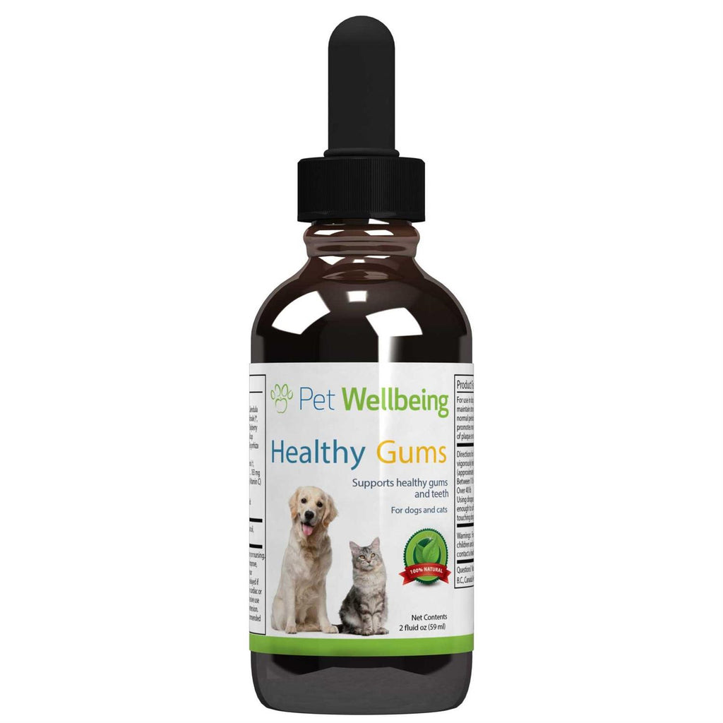 Healthy Gums for Feline Periodontal Health N84699