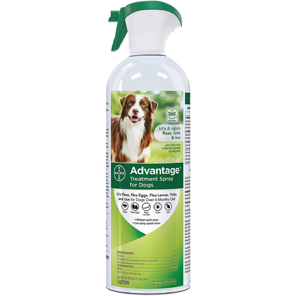 Flea & Tick Treatment Spray for Dogs N352361