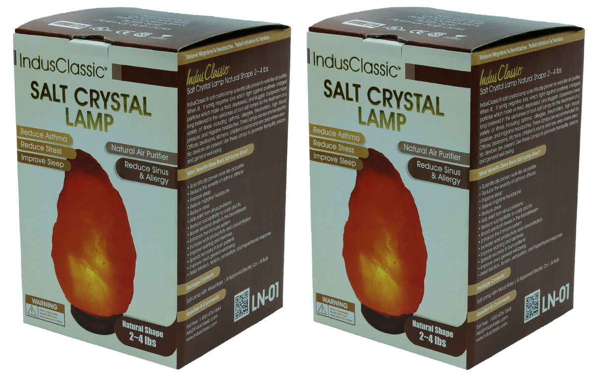 Natural Himalayan Crystal Rock Salt Lamp Set of 2 with Dimmable Control Z300