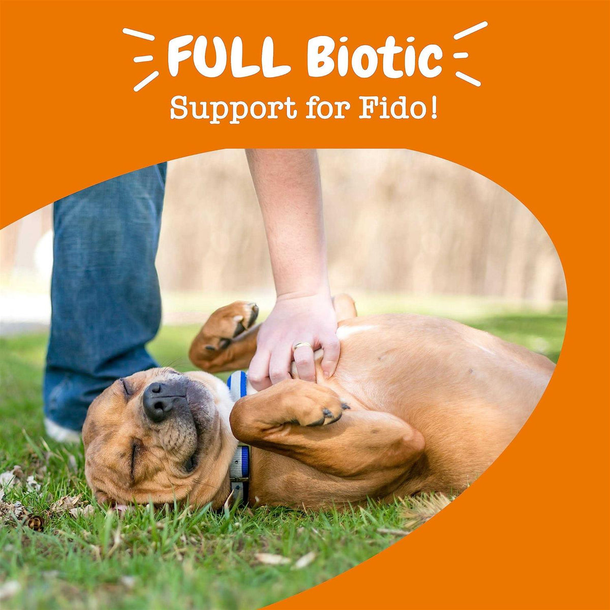 Probiotic Gut Health Bites for Dogs I838